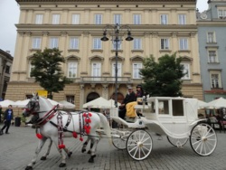 Фото из тура Европейская прогулка! Краков, Мюнхен, замок Нойшванштайн и Вена!, 24 августа 2014 от туриста ОляЛя