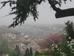 Фото из тура О Тоскане… со вкусом:Лукка, Сиена, Сан-Джиминьяно, Флоренция, 11 апреля 2015 от туриста Анна