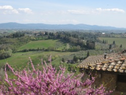 Фото з туру Про Тоскану… зі смаком:Лукка, Сієна, Сан Джиміньяно, Флоренція, 11 квітня 2015 від туриста Анна