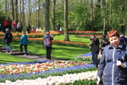Фото из тура Счастливы вместе Амстердам, Брюссель, Париж, 25 апреля 2015 от туриста lidija