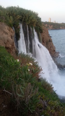 Фото з туру Секрет райської насолоди...Відпочинок на Середземноморському узбережжі Туреччини, 08 вересня 2015 від туриста Ната