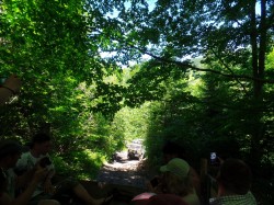 Фото з туру "Карпатський тандем" …або відпустка для активних, 09 липня 2016 від туриста Julia