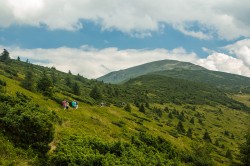 Фото из тура Карпатских гор перезвон, 01 августа 2016 от туриста ovxazey61