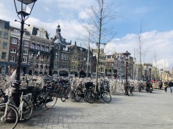 Фото з туру Пікнічок в Амстердамі , 11 квітня 2019 від туриста Tati 