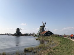 Фото з туру Вітаю, милий Амстердам!, 12 квітня 2019 від туриста Annnnnashe