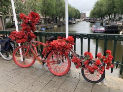 Фото з туру Амстердам… Forever , 11 серпня 2019 від туриста Lily.H