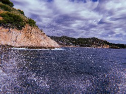 Фото з туру Апельсиновий рай відпочинок на морі Іспанії та Франції + Швейцарія!!!, 01 вересня 2019 від туриста yanakomarynska