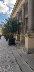 Фото з туру Кращі коліжанки Чеського королівства Прага, Дрезден, Карлові Вари + Краків, 13 жовтня 2019 від туриста YULIYA