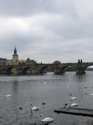 Фото из тура Душевный Уикенд Краков, Прага, Вена, Будапешт + Эгер, 22 ноября 2019 от туриста Вікуся