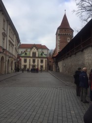 Фото з туру Знайомтесь - Німеччина: Берлін + Потсдам + Дрезден + Саксонська Швейцарія, 21 грудня 2019 від туриста 275090