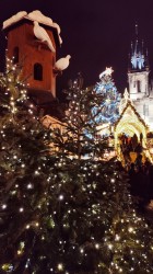 Фото из тура Лучшие подружки Чешского королевства Прага, Дрезден, Карловы Вары + Краков, 30 декабря 2019 от туриста Kristina