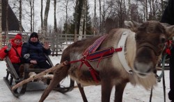 Фото из тура Страна Санта Клауса  выезд с КиеваЛапландское приключение , 28 марта 2019 от туриста Владимир