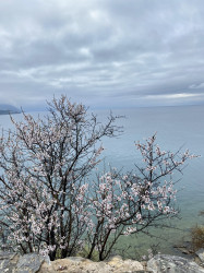Фото из тура Уикенд в Македонии: Скопье + Охридское озеро, 02 апреля 2021 от туриста Ruslana