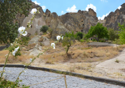 Фото из тура Путешествие в Каппадокию…, 24 июля 2021 от туриста лисенок