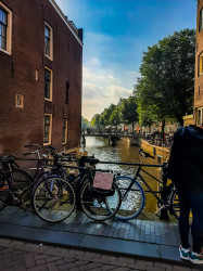 Фото из тура Свободный  Амстердам, 08 октября 2021 от туриста Iryna
