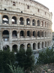 Фото з туру Зустрічай мене, Італіє! Верона, Рим, Флоренція і Венеція!, 14 листопада 2021 від туриста OlNor