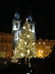 Фото из тура Пражский уикенд + Дрезден, 02 декабря 2021 от туриста Элис