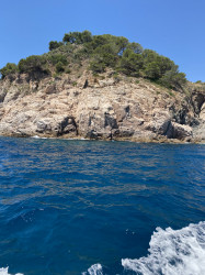 Фото из тура Курортный Роман  Отдых на море Испании Швейцария + Испания + Франция, 07 июля 2022 от туриста Міла