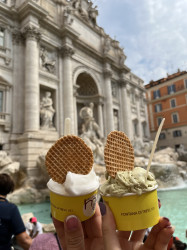 Фото из тура Рим притягивает нас! Вена, Флоренция и Венеция!, 06 августа 2022 от туриста Леся