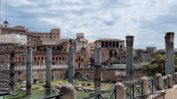 Фото из тура Чао, Италия! 2 дня в Риме + Флоренция и Венеция!, 30 апреля 2023 от туриста Irina-Orange