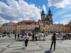 Фото з туру Французький реверанс Париж, Нормандія, Мон-Сен-Мішель, Аквітанія, Замки Луари, Ельзас, 11 травня 2023 від туриста Nina