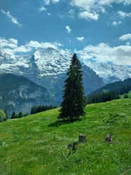 Фото из тура В гостях у Швейцарии  Цюрих, Женева, Берн + Монблан, 04 июня 2023 от туриста Юлія