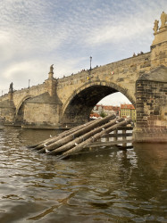 Фото з туру Три горішки для Попелюшки  Дрезден, Прага, Краків, 03 жовтня 2023 від туриста Олеся