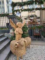 Фото из тура Рождественские Ярмарки Германии: Дрезден, Бамберг, Нюрнберг и Мюнхен!, 15 декабря 2023 от туриста Nadin