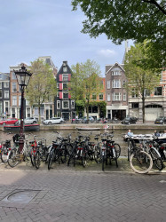 Фото из тура Здравствуй, милый Амстердам!, 07 мая 2024 от туриста Gaudarch