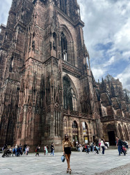 Фото з туру Романтичний Париж!  Страсбург, Кольмар, Нюрнберг, 22 травня 2024 від туриста Ілона