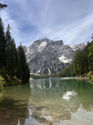 Фото из тура Швейцарская интрига  Австрия, Италия и Доломитовы Альпы, 25 мая 2024 от туриста Олеся