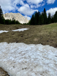 Фото из тура Швейцарская интрига  Австрия, Италия и Доломитовы Альпы, 30 мая 2024 от туриста Наталія Булгакова 