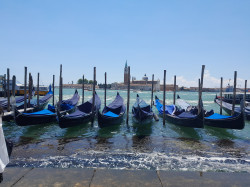 Фото из тура Моё морское наслаждение!Отдых на Адриатическом побережье Италии!, 30 мая 2024 от туриста oksana