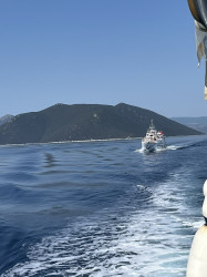 Фото из тура Сладкие прикосновения моря… Греция! Отдых на Эгейском море!, 03 июня 2024 от туриста Тетянка