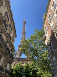 Фото из тура Сладкий круассан - Париж, 06 июня 2024 от туриста valeriiachernovol