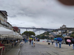 Фото из тура Клубника с Портвейном... Португалия, 11 июня 2024 от туриста Елена