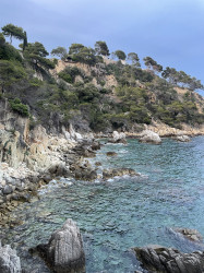 Фото з туру Іспанія – горда квітка Півдня Відпочинок на морі, 23 червня 2024 від туриста dariash