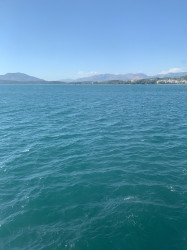 Фото из тура Привкус лета: отдых на острове Корфу, 26 июня 2024 от туриста Олеся