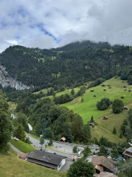 Фото из тура Удивительный мир 4 дня в Швейцарии Женева, Берн, Люцерн + Монблан, 02 июля 2024 от туриста Марта