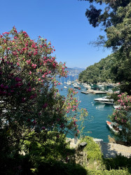 Фото из тура Курортный Роман  Отдых на море Испании Швейцария + Испания + Франция, 29 июня 2024 от туриста Тетяна