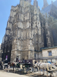 Фото из тура Душевный Уикенд Краков, Прага, Вена, Будапешт + Эгер, 13 июля 2024 от туриста Анастасія