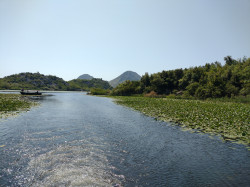 Фото з туру Сонячна розкіш Чорногорія + Хорватія Відпочинок на морі в Чорногорії, 08 липня 2024 від туриста Oksana