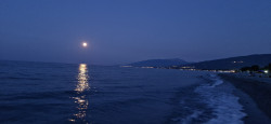 Фото из тура Сладкие прикосновения моря… Греция! Отдых на Эгейском море!, 15 июля 2024 от туриста Rita