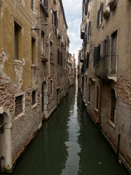 Фото з туру Яскраві нотки Італії: 2 дні в Римі + Флоренція, Венеція, 19 липня 2024 від туриста htrdrdy