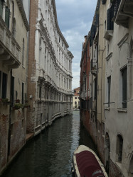 Фото з туру Яскраві нотки Італії: 2 дні в Римі + Флоренція, Венеція, 19 липня 2024 від туриста htrdrdy