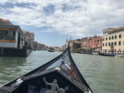 Фото з туру Рим притягує нас! Відень, Флоренція та Венеція, 19 липня 2024 від туриста Саша