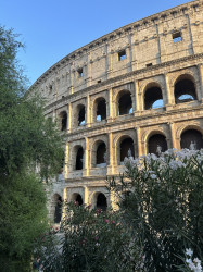Фото из тура Скажем «чииииз» в Италии: 3 дня в Риме + Неаполь, Флоренция и Венеция, 19 июля 2024 от туриста mashfis