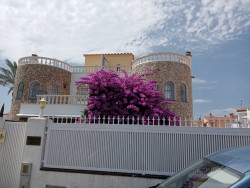 Фото з туру Іспанія – горда квітка Півдня Відпочинок на морі, 10 липня 2024 від туриста Олена