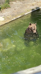 Фото з туру Дивовижний світ 4 дні в Швейцарії Женева, Берн, Люцерн + Монблан, 28 липня 2024 від туриста Oksana22852