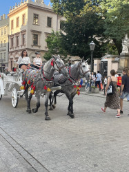 Фото из тура Южное очарование: Тоскана + Амальфитанское побережье, 11 августа 2024 от туриста Kethrin